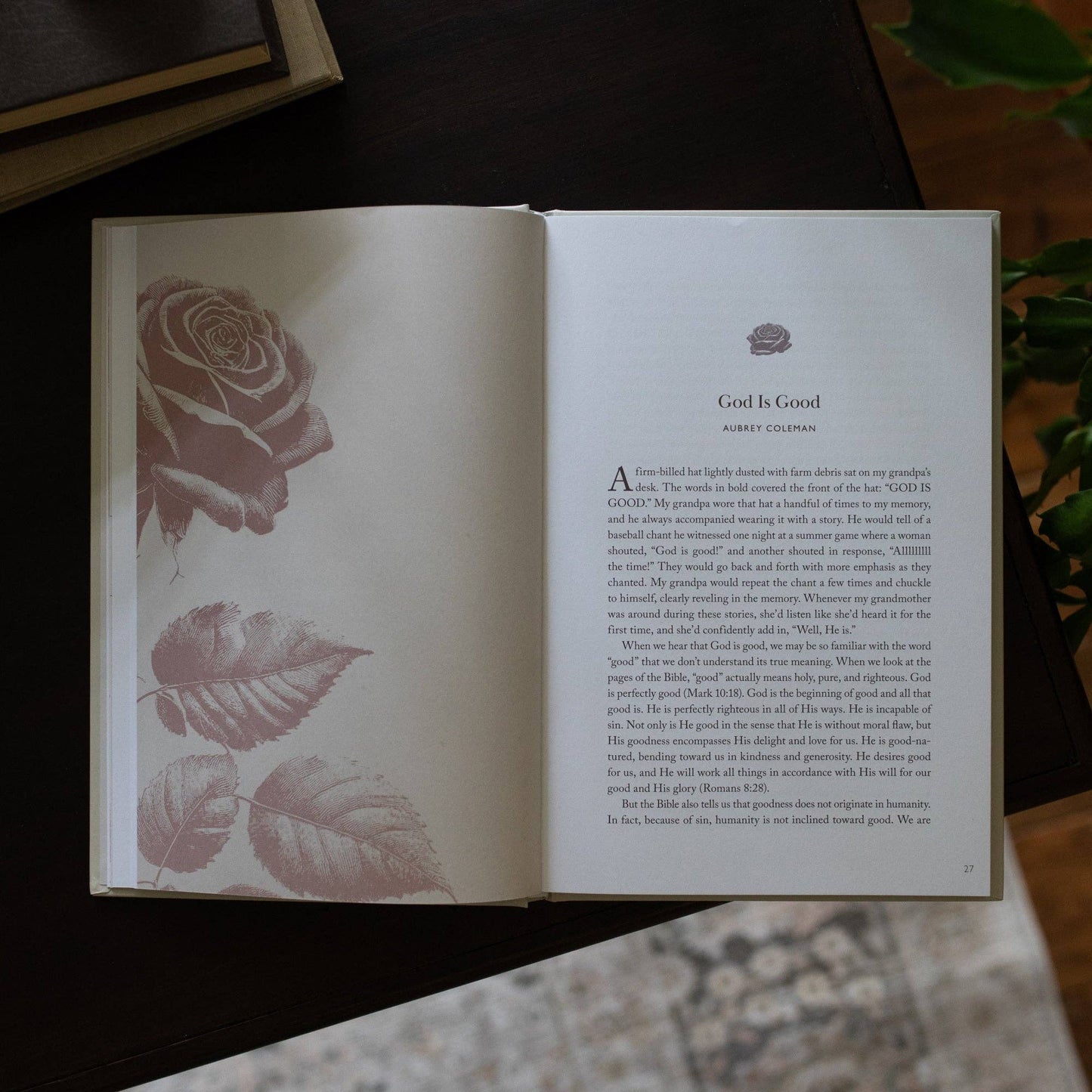 His Love Endures Forever | Remembering and Resting in God’s Love | A Collection of Essays from The Daily Grace Co.