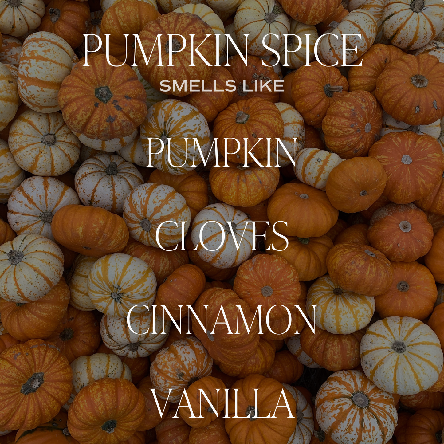 Pumpkin Spice 11 oz Soy Candle