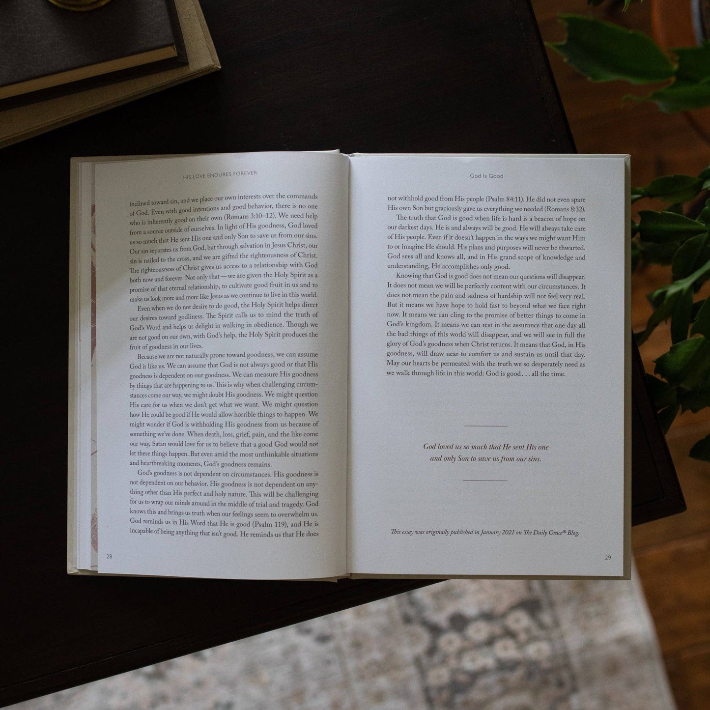His Love Endures Forever | Remembering and Resting in God’s Love | A Collection of Essays from The Daily Grace Co.