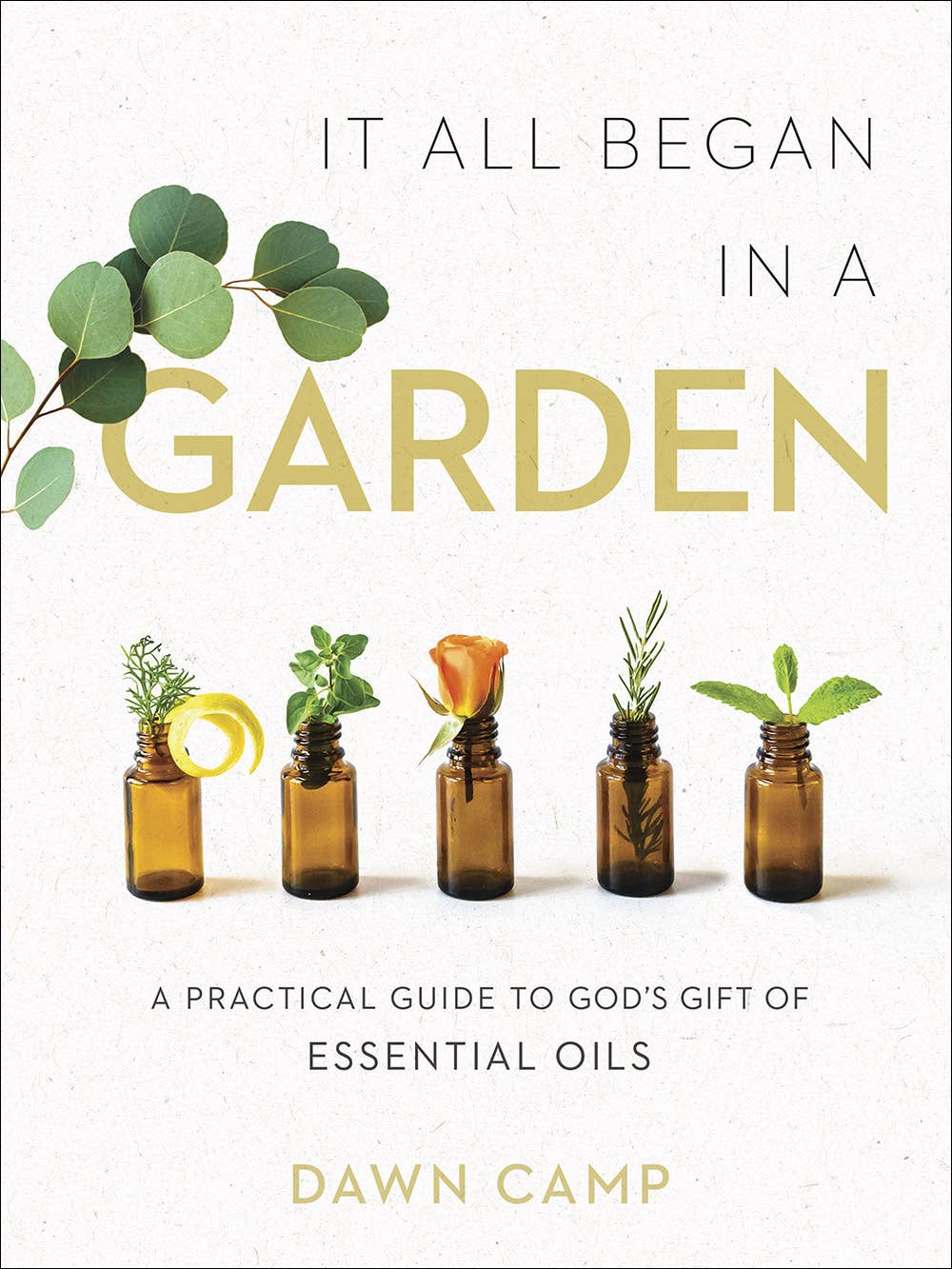 It All Began in a Garden: Hardcover