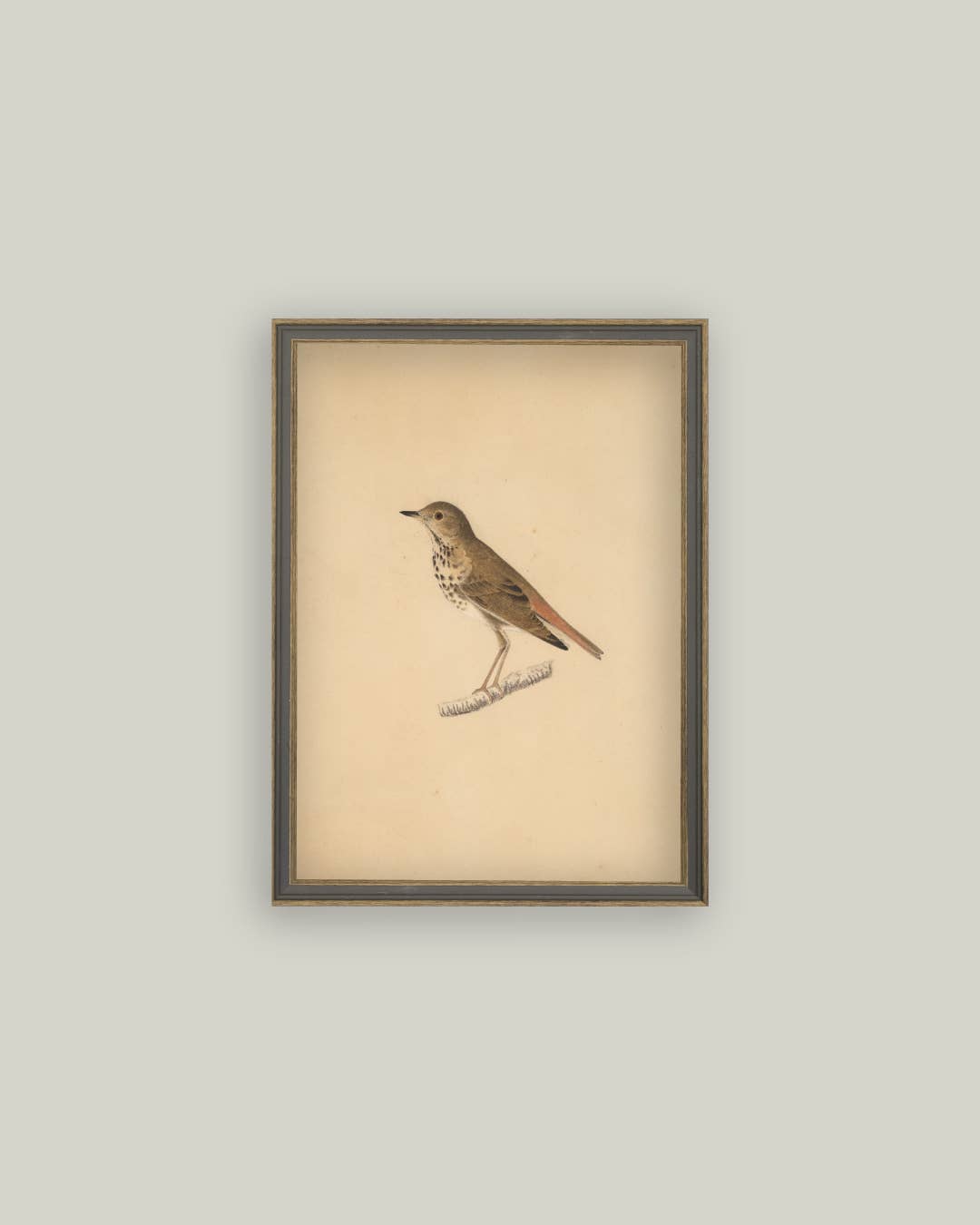 Bird Framed Antique Art: 4x6