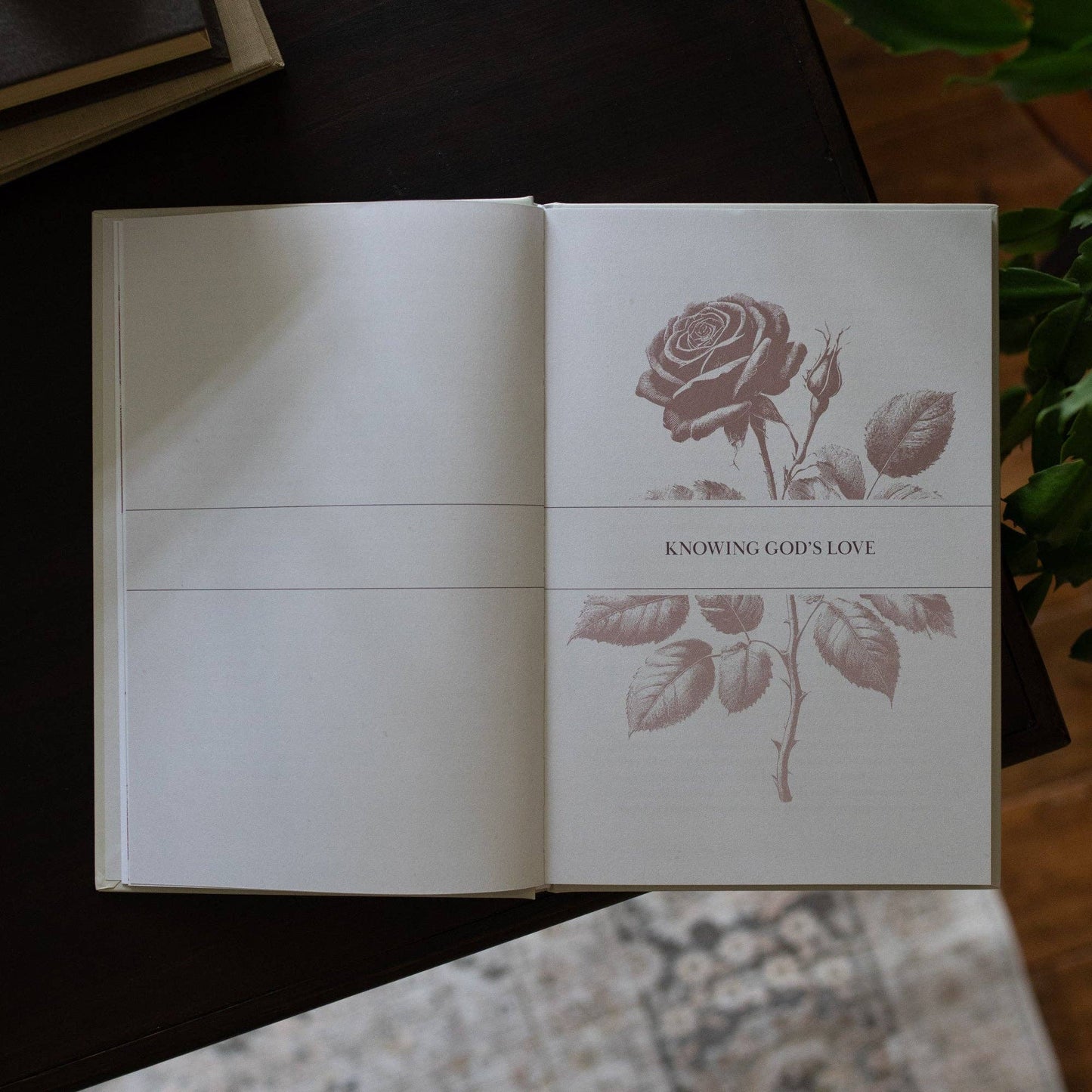 His Love Endures Forever | Remembering and Resting in God’s Love | A Collection of Essays from The Daily Grace Co.