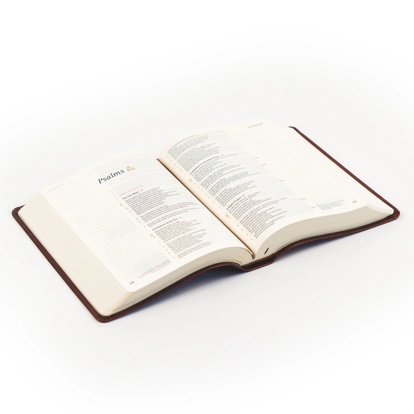 CSB Note taking Bible - Anchorage Theme