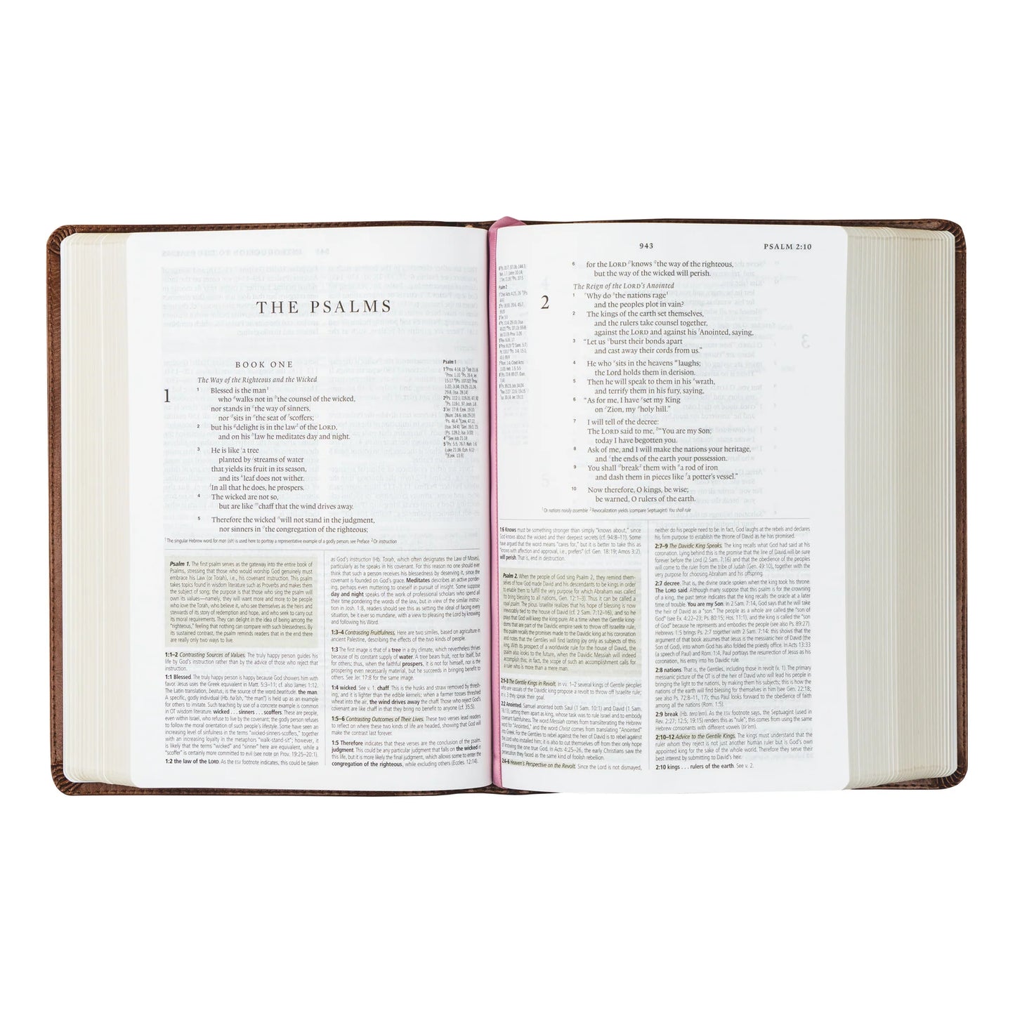 ESV Study Bible - Aurora Theme