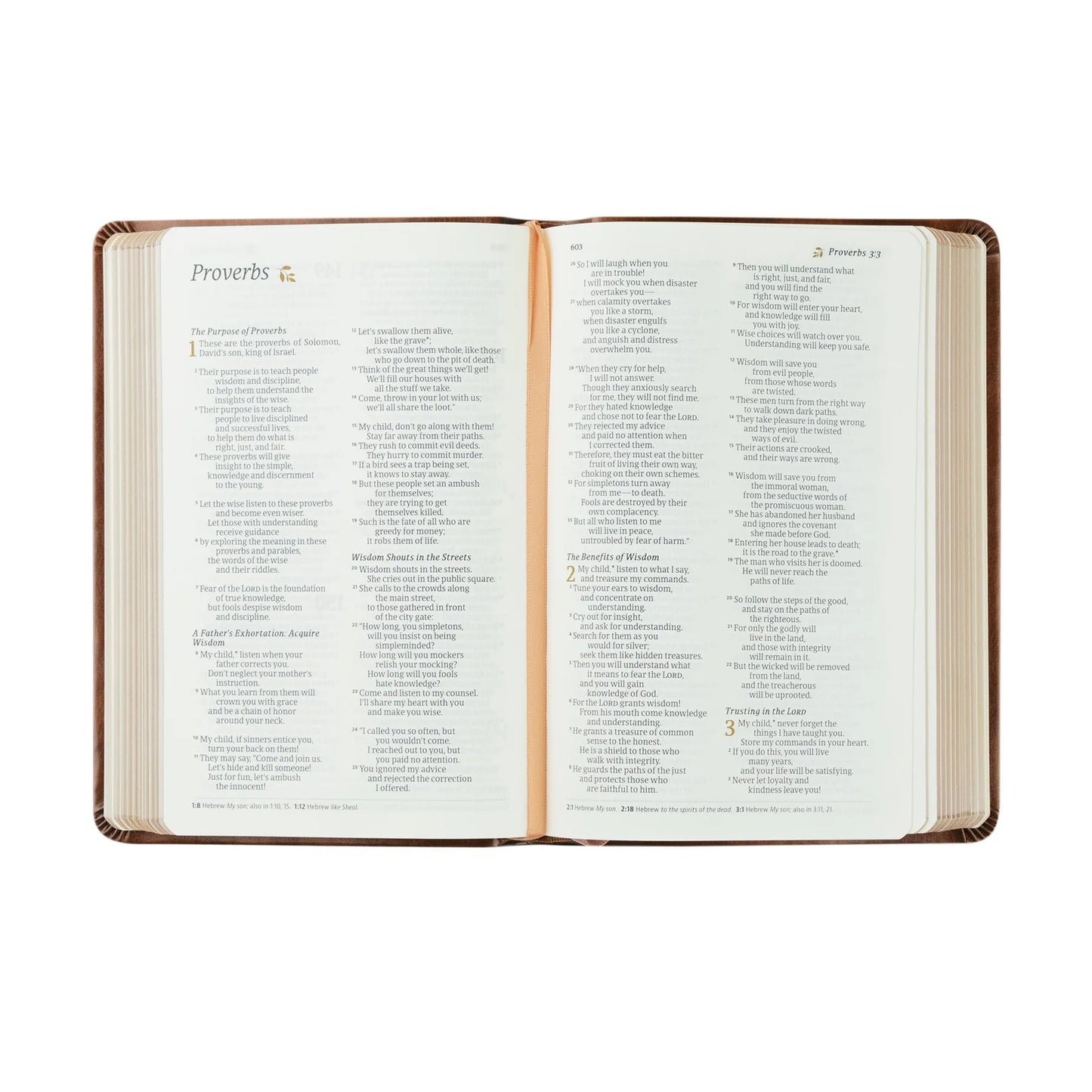 NLT Compact Bible - Aurora theme