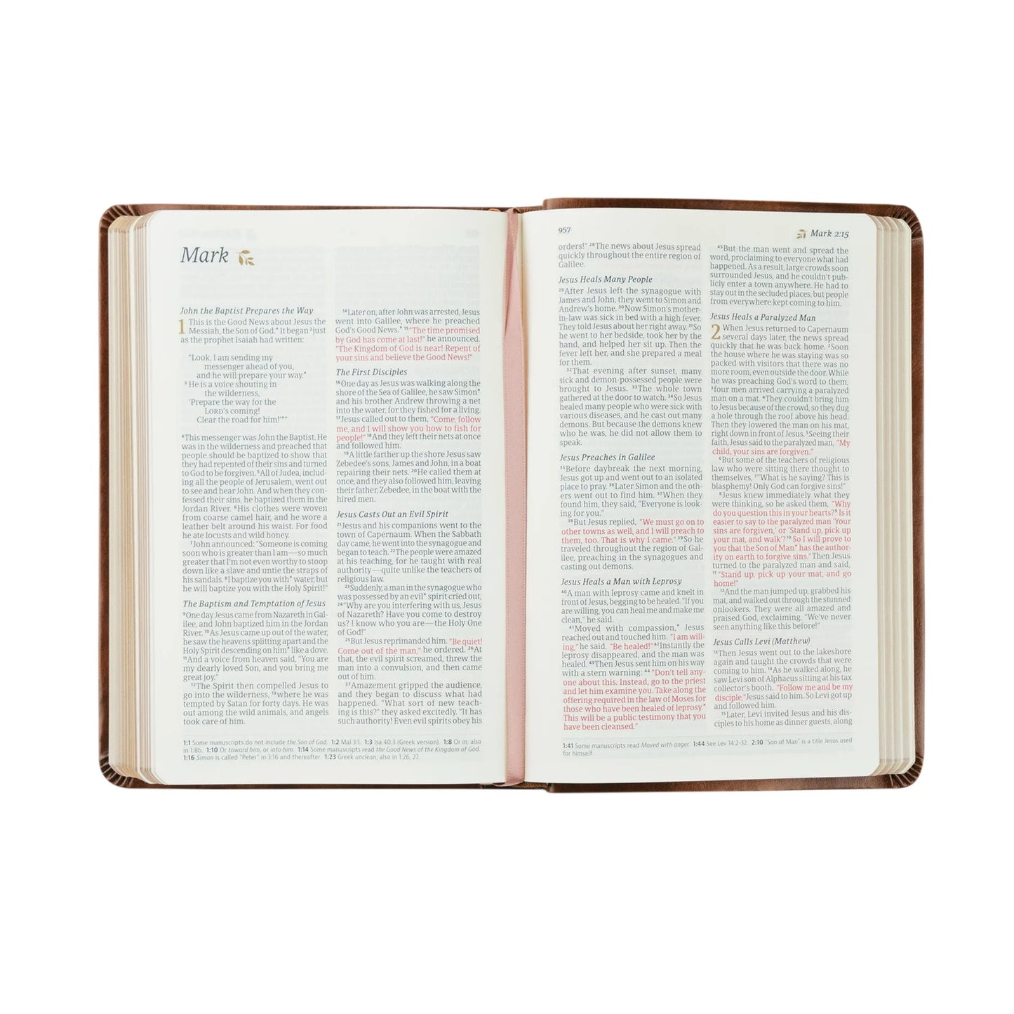 NLT Compact Bible - Aurora theme