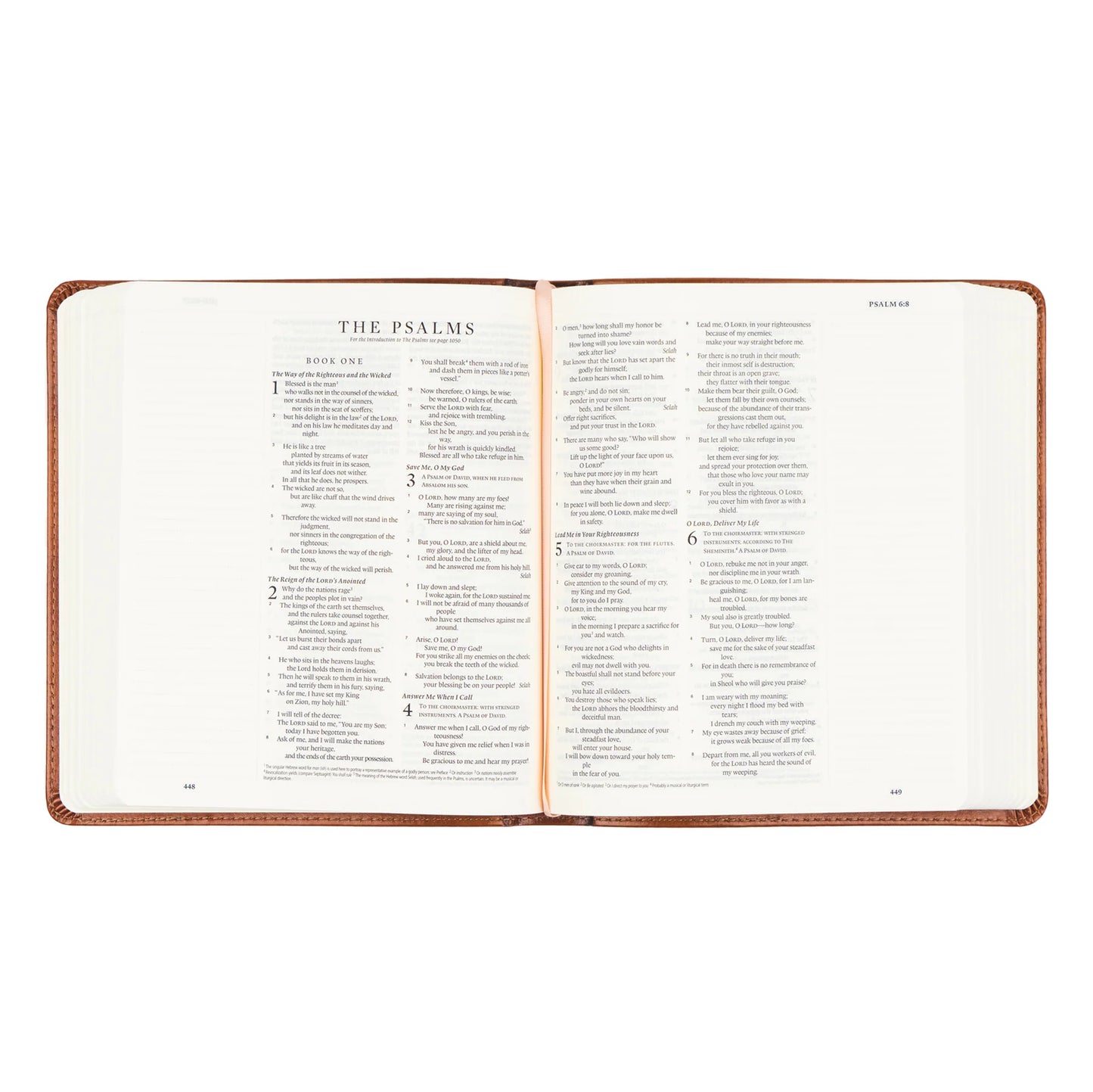 ESV JOURNALING BIBLE: SIERRA THEME