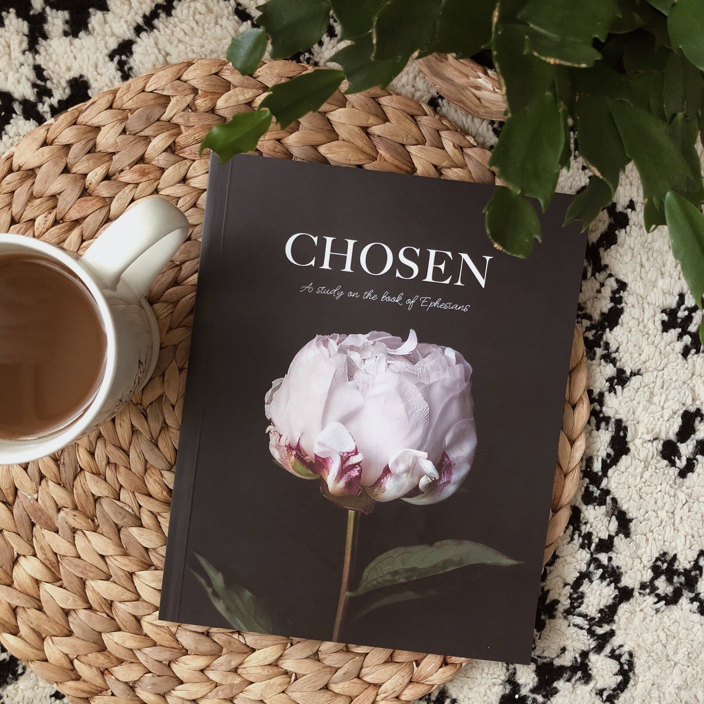 Chosen Study of Ephesians